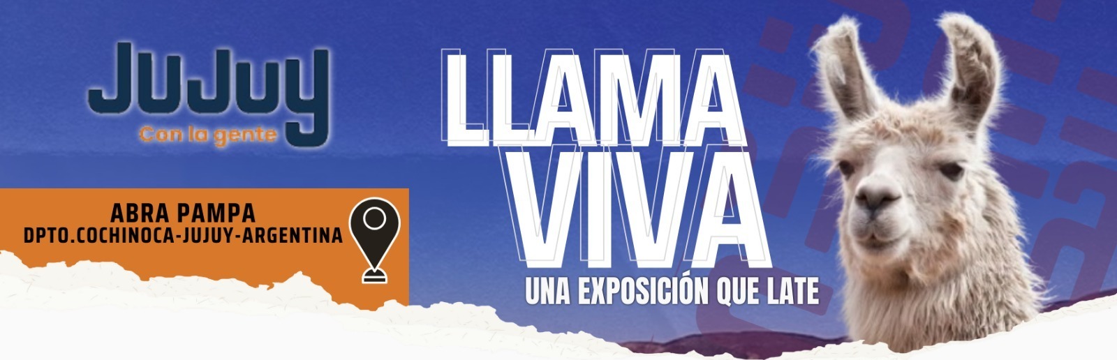 LLAMA VIVA: UNA EXPOSICIÓN QUE LATE” llega a Abra Pampa para celebrar la vida y el trabajo en torno a los camélidos