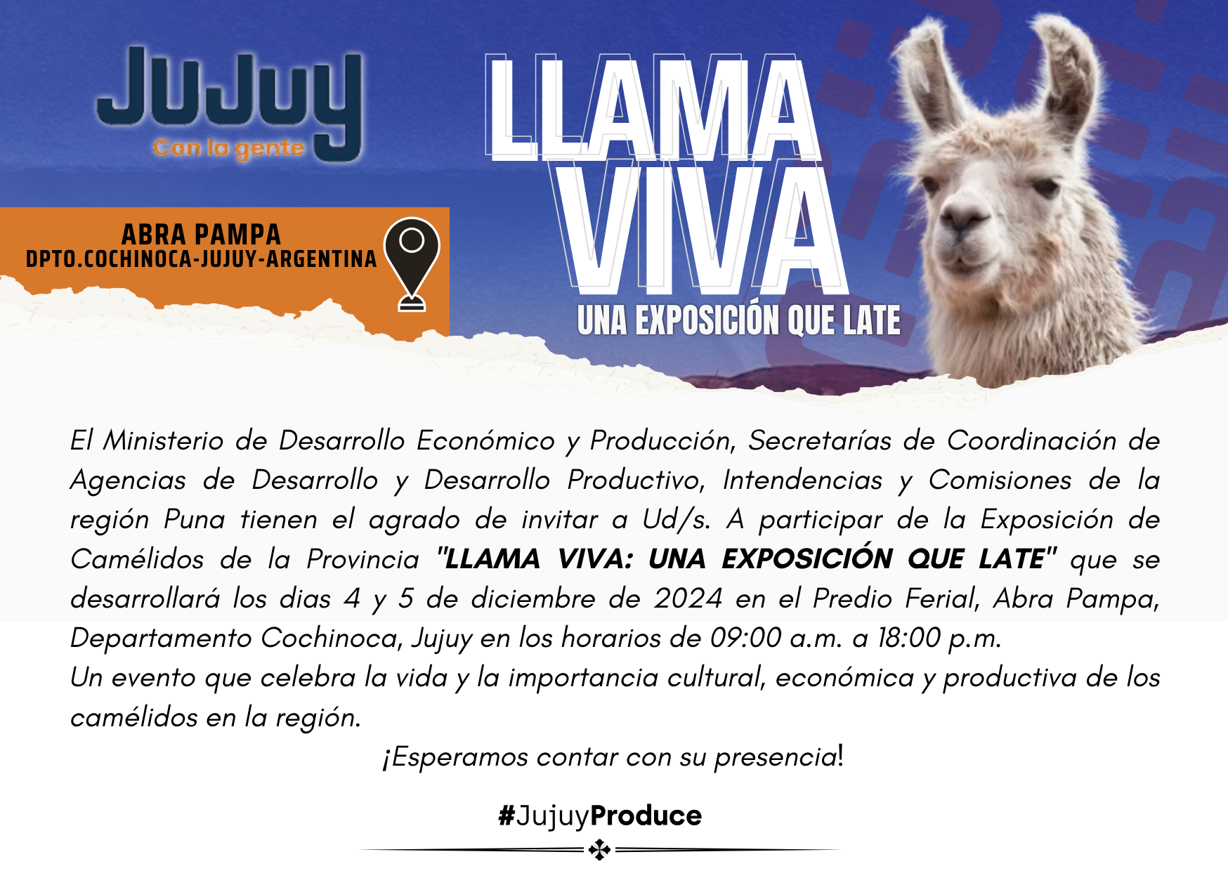 LLAMA VIVA: UNA EXPOSICIÓN QUE LATE” llega a Abra Pampa para celebrar la vida y el trabajo en torno a los camélidos