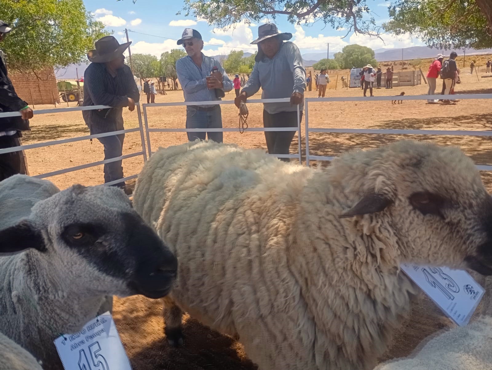 GRAN CONVOCATORIA EN LA PRIMER EXPO AGRO-GANADERA DE LA COMUNIDAD DE SANTUARIO, ABRA PAMPA.