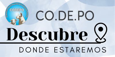 CO.DE.PO